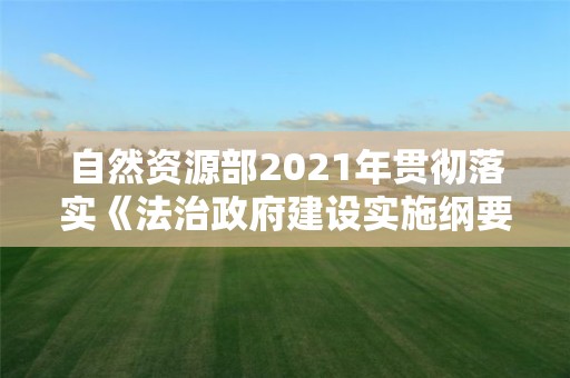 自然資源部2021年貫徹落實《法治政府建設實施綱要（2021-2025年）》情況