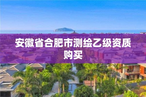 安徽省合肥市測繪乙級資質購買