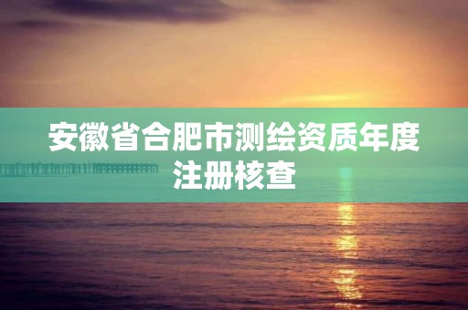 安徽省合肥市測繪資質年度注冊核查