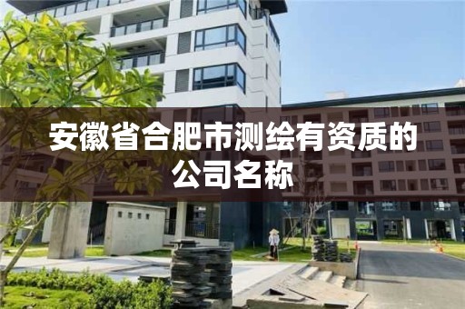 安徽省合肥市測繪有資質(zhì)的公司名稱