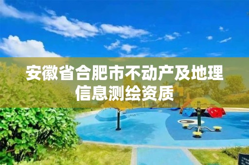 安徽省合肥市不動產及地理信息測繪資質