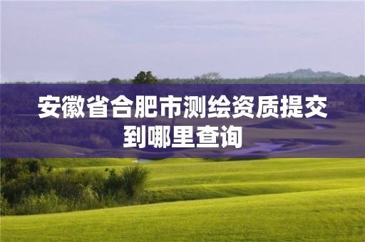 安徽省合肥市測繪資質(zhì)提交到哪里查詢