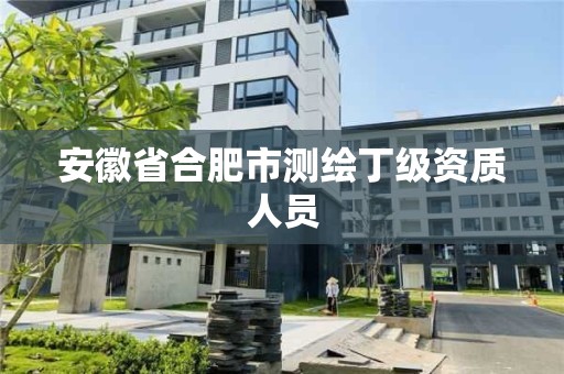 安徽省合肥市測繪丁級資質人員