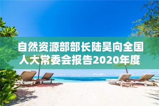 自然資源部部長陸昊向全國人大常委會報告2020年度國有自然資源資產管理情況