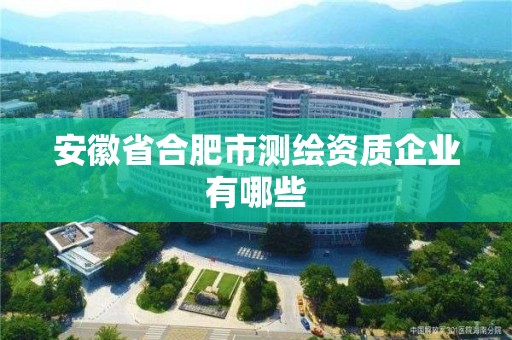 安徽省合肥市測繪資質(zhì)企業(yè)有哪些