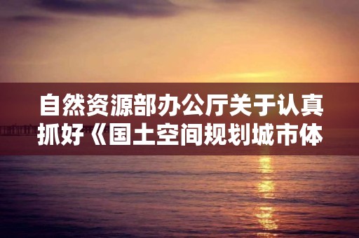 自然資源部辦公廳關于認真抓好《國土空間規劃城市體檢評估規程》貫徹落實工作的通知