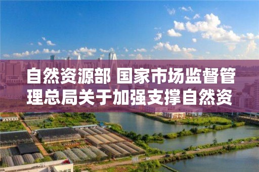 自然資源部 國家市場監督管理總局關于加強支撐自然資源事業高質量發展的檢驗檢測能力建設的通知