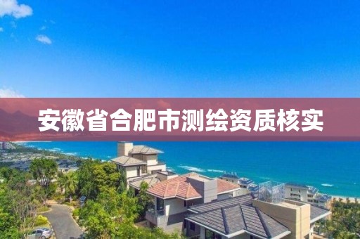 安徽省合肥市測繪資質(zhì)核實