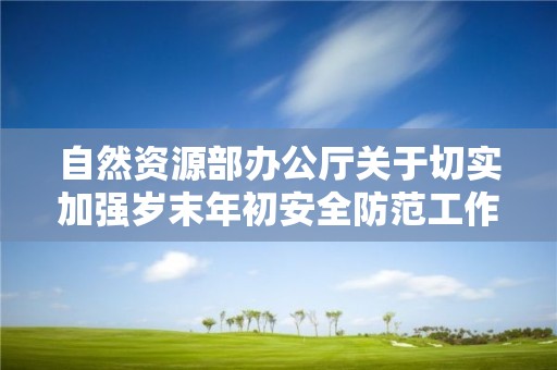 自然資源部辦公廳關于切實加強歲末年初安全防范工作的通知