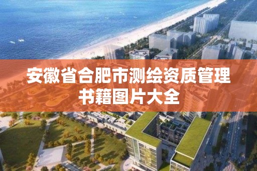 安徽省合肥市測繪資質管理書籍圖片大全