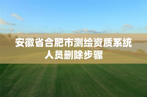 安徽省合肥市測繪資質系統人員刪除步驟