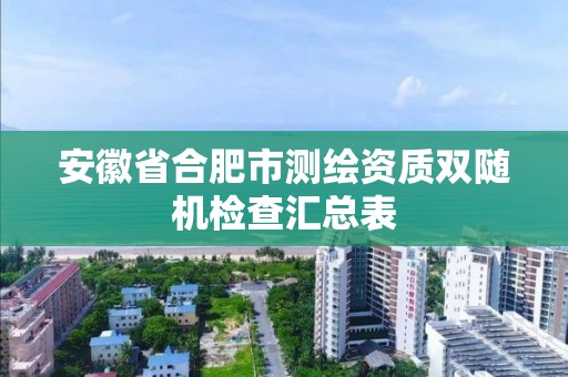 安徽省合肥市測繪資質雙隨機檢查匯總表