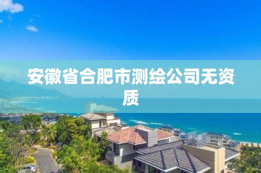 安徽省合肥市測(cè)繪公司無(wú)資質(zhì)