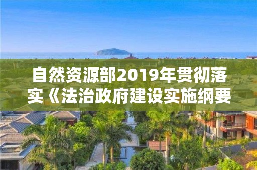 自然資源部2019年貫徹落實《法治政府建設實施綱要（2015-2020年）》情況