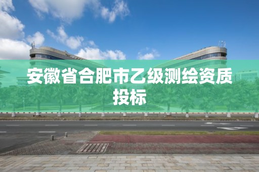 安徽省合肥市乙級測繪資質(zhì)投標(biāo)