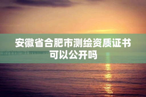 安徽省合肥市測繪資質證書可以公開嗎