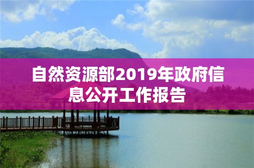 自然資源部2019年政府信息公開工作報告