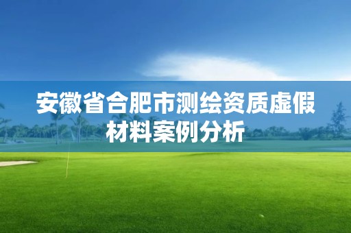 安徽省合肥市測繪資質虛假材料案例分析