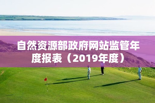 自然資源部政府網站監管年度報表（2019年度）