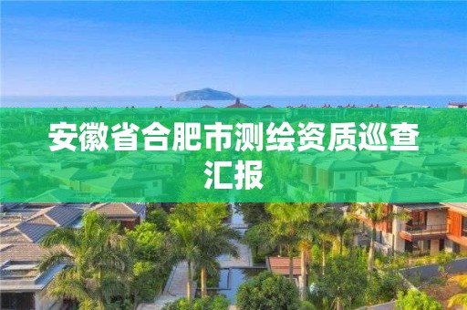 安徽省合肥市測繪資質(zhì)巡查匯報