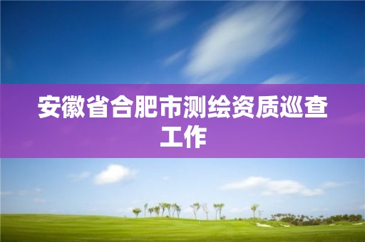 安徽省合肥市測繪資質巡查工作