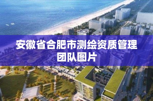 安徽省合肥市測繪資質管理團隊圖片