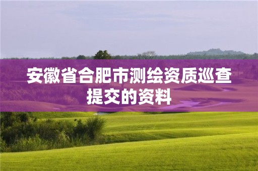 安徽省合肥市測繪資質(zhì)巡查提交的資料