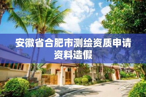 安徽省合肥市測繪資質申請資料造假