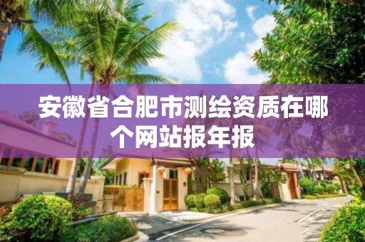 安徽省合肥市測繪資質在哪個網站報年報