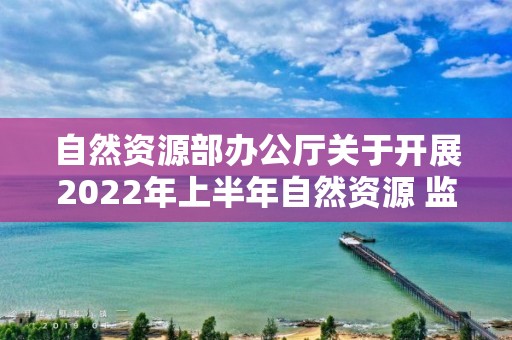 自然資源部辦公廳關于開展2022年上半年自然資源 監測工作的通知