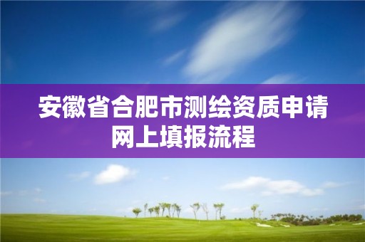 安徽省合肥市測繪資質申請網上填報流程