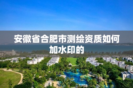 安徽省合肥市測繪資質如何加水印的