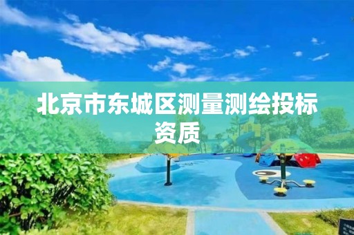 北京市東城區(qū)測(cè)量測(cè)繪投標(biāo)資質(zhì)