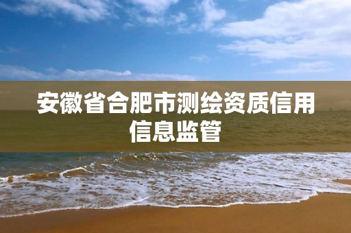 安徽省合肥市測繪資質信用信息監管