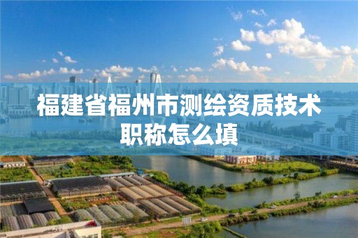 福建省福州市測繪資質技術職稱怎么填