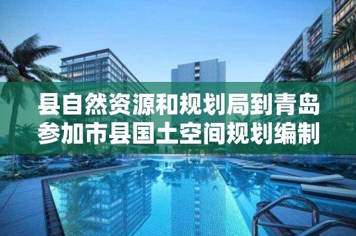 縣自然資源和規劃局到青島參加市縣國土空間規劃編制專題培訓班學習