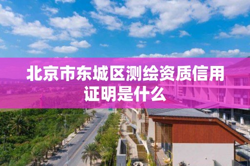 北京市東城區測繪資質信用證明是什么