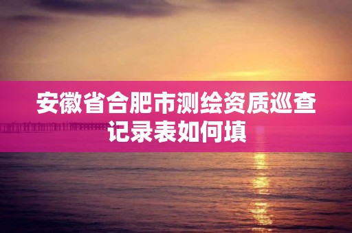 安徽省合肥市測繪資質巡查記錄表如何填