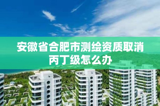 安徽省合肥市測繪資質取消丙丁級怎么辦