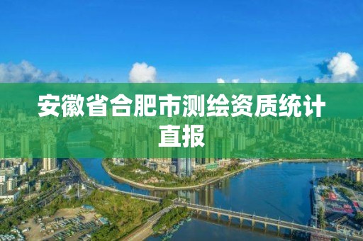 安徽省合肥市測(cè)繪資質(zhì)統(tǒng)計(jì)直報(bào)