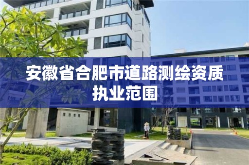 安徽省合肥市道路測繪資質執業范圍