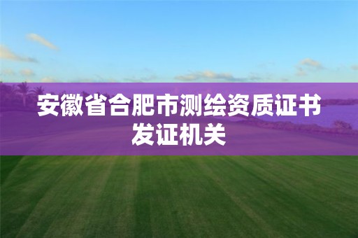 安徽省合肥市測繪資質(zhì)證書發(fā)證機關(guān)