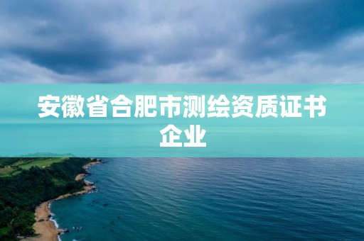 安徽省合肥市測繪資質證書企業