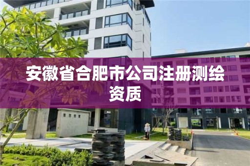 安徽省合肥市公司注冊測繪資質