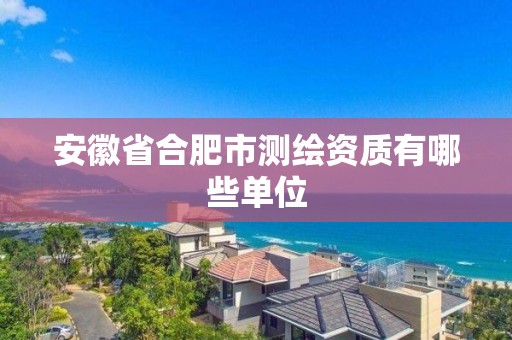 安徽省合肥市測繪資質有哪些單位