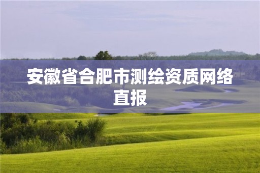 安徽省合肥市測繪資質網絡直報