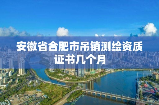 安徽省合肥市吊銷測繪資質(zhì)證書幾個月