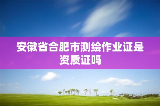 安徽省合肥市測繪作業證是資質證嗎