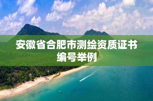 安徽省合肥市測(cè)繪資質(zhì)證書編號(hào)舉例