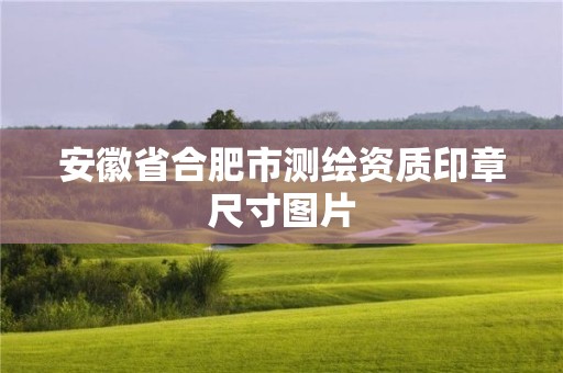 安徽省合肥市測繪資質印章尺寸圖片